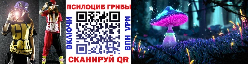 где купить   нарко площадка какой сайт  Псилоцибиновые грибы Psilocybe  Олонец 